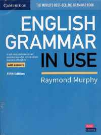 English grammar in use