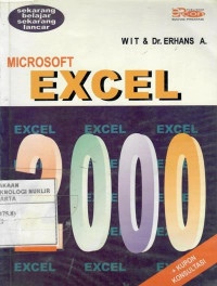 Microsoft Excel 2000