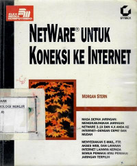 NetWare untuk koneksi ke internet