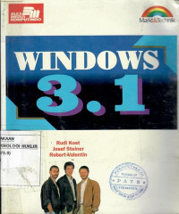 Windows 3.1